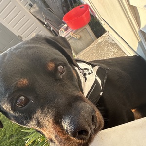 Fundraising Page: Kaylei Prim